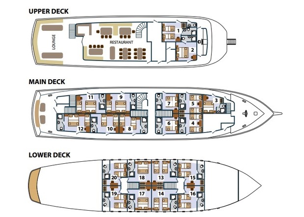 Cabin layout for Paradis