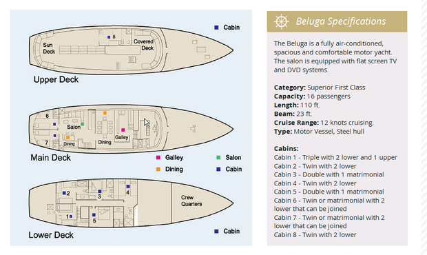 Cabin layout for Beluga