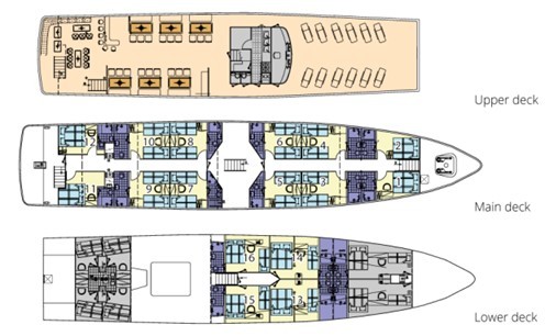 Cabin layout for Seagull