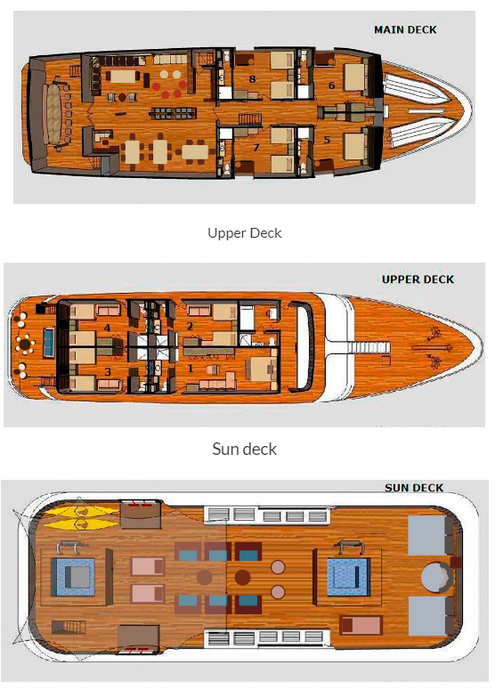 Cabin layout for Galapagos Sea Star