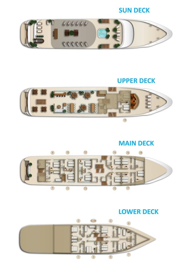 Cabin layout for Princess