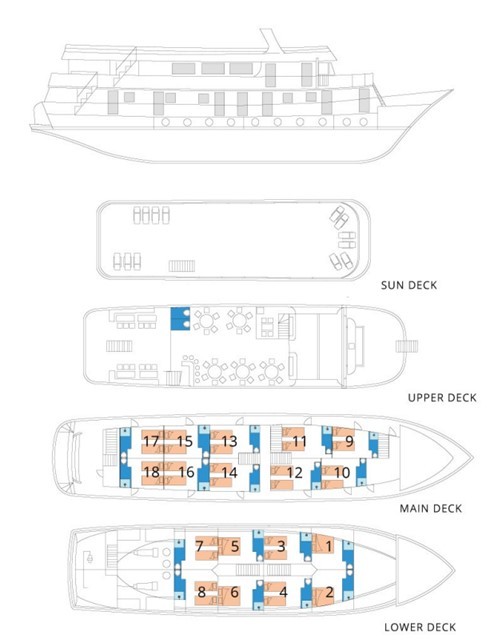 Cabin layout for Majestic