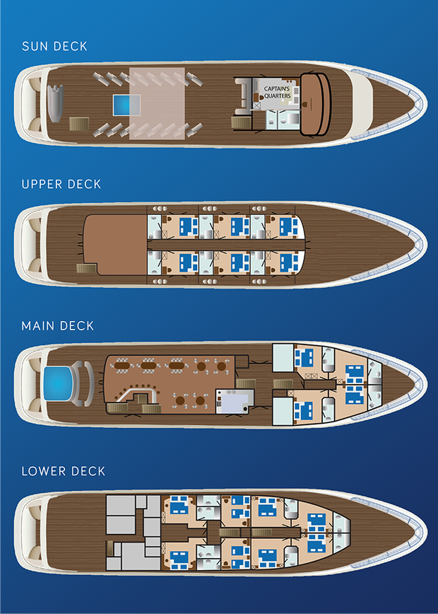 Cabin layout for Antaris, Lastavica, Ban, Symphony, New Star and Cristal