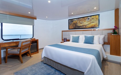 Upper Deck Double Cabin