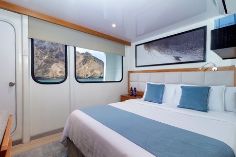 Main Deck Single Cabin