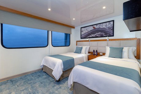 Upper Deck Twin Cabin