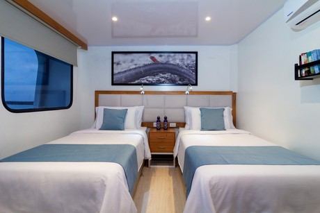 Main Deck Cabin (Twin)
