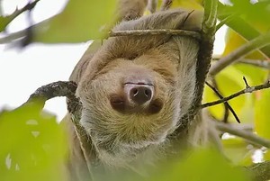 Itinerary image for Day 1 - Puntarenas