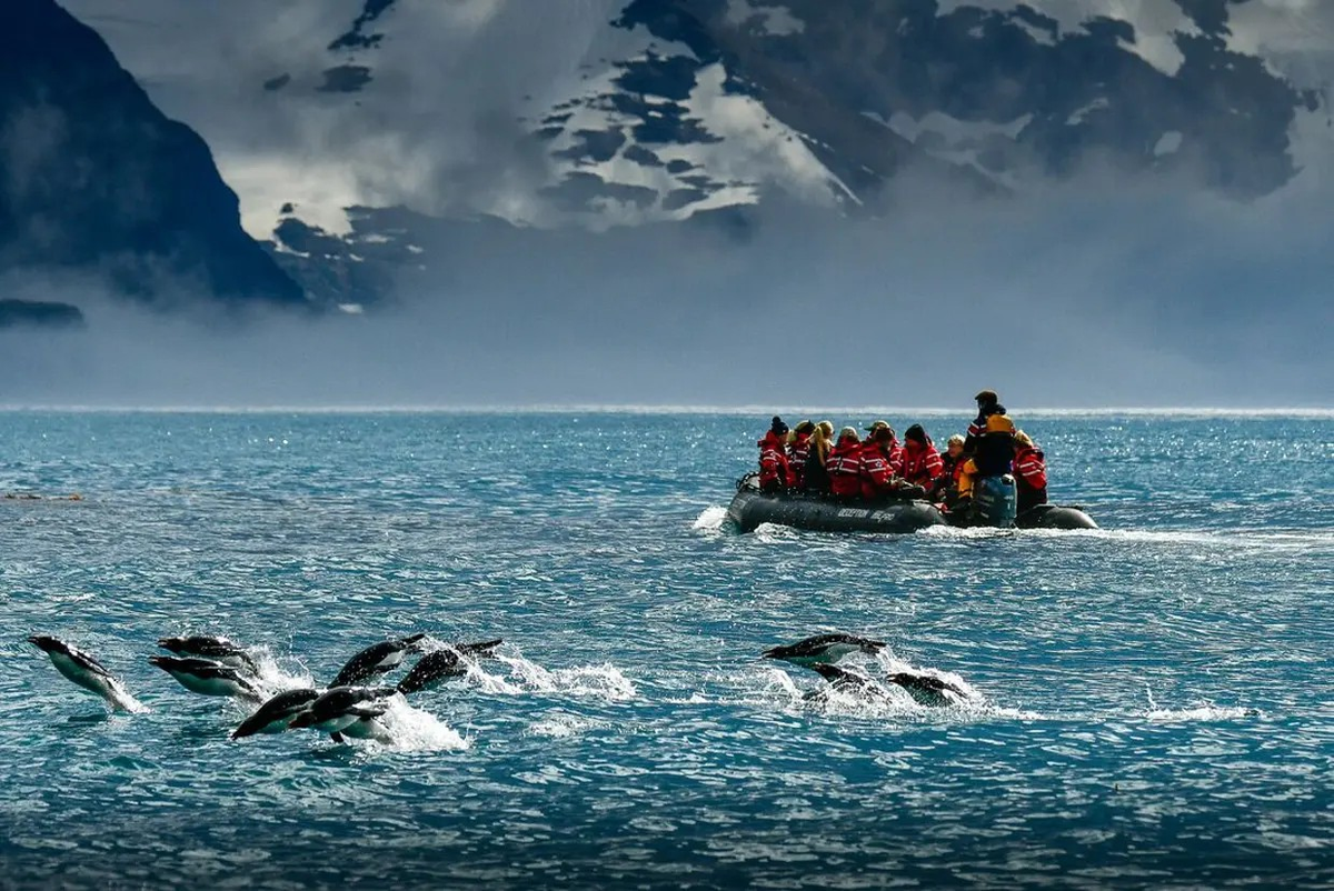 Feture image for Extended Antarctic Circle Crossing Cruise