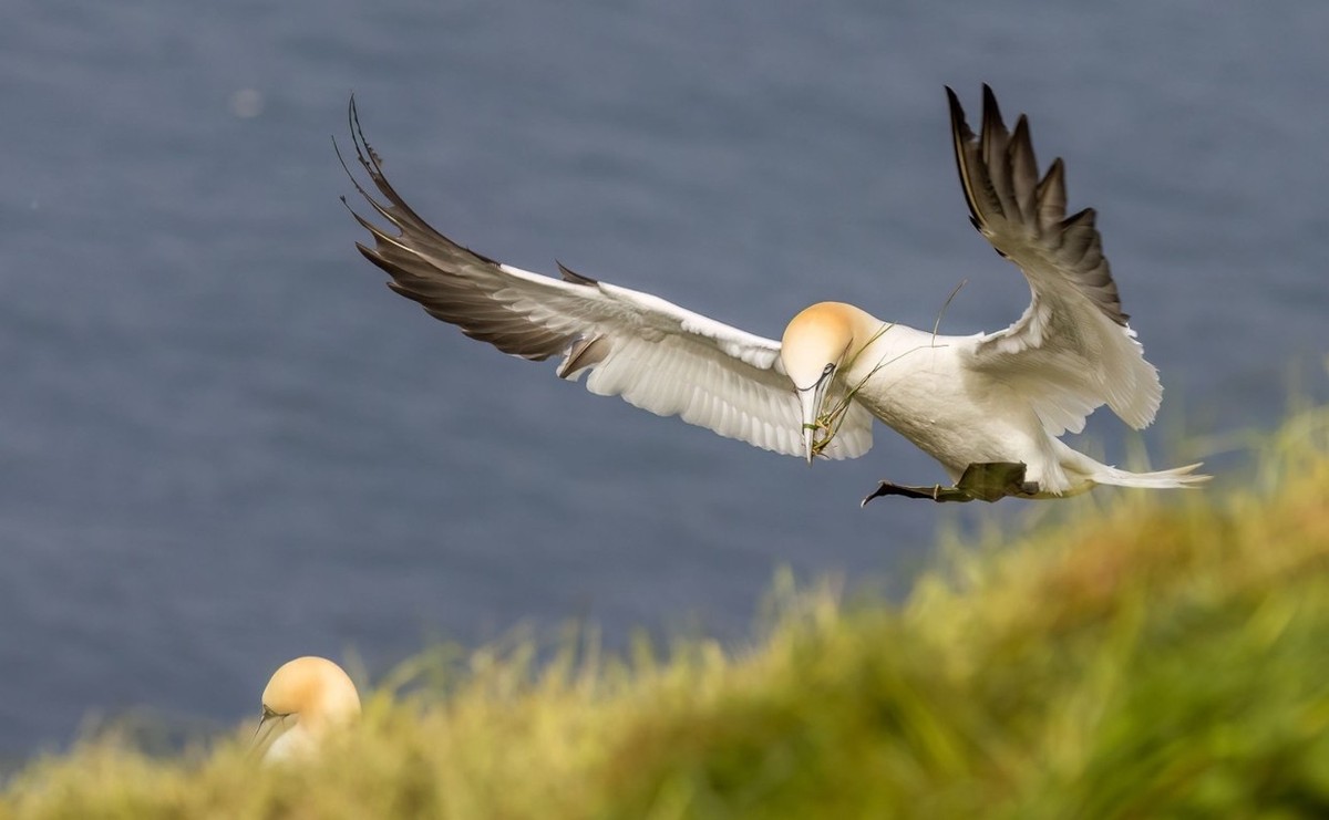 Feture image for 11 Days Luxury British Isles Cruise - Belfast to Edinburgh