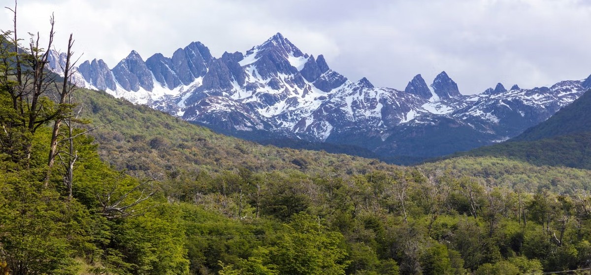 Feture image for 12 Days Luxury Antarctica Expedition - Puerto Williams to Puerto Williams