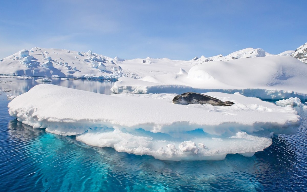 Feture image for Luxury Antarctica & South Georgia Cruise - King George Island to Puerto Williams 18 Days