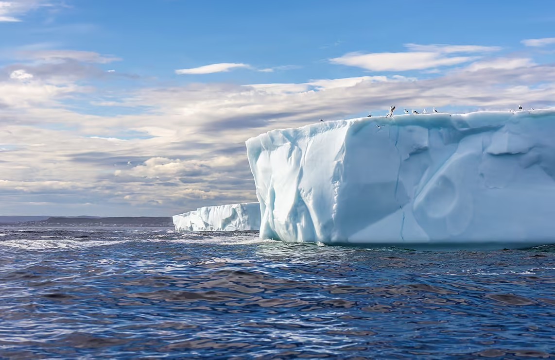 Feture image for 23 Days Antarctica & South Georgia Luxury Expedition - Puerto Williams to Buenos Aires