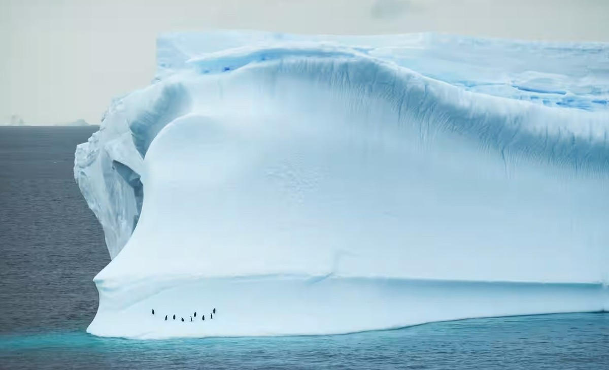 Feture image for Antarctic Circle Christmas Expedition Micro Cruise by Air