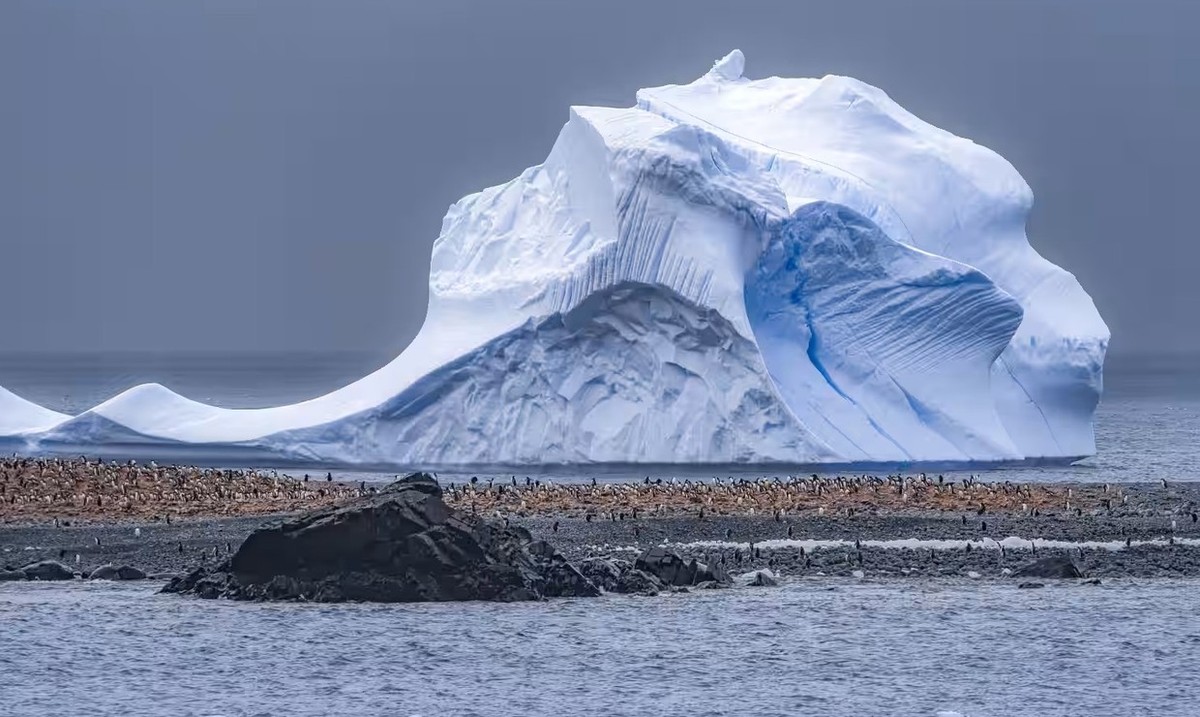 Feture image for Antarctic Circle Expedition Micro Cruise by Air