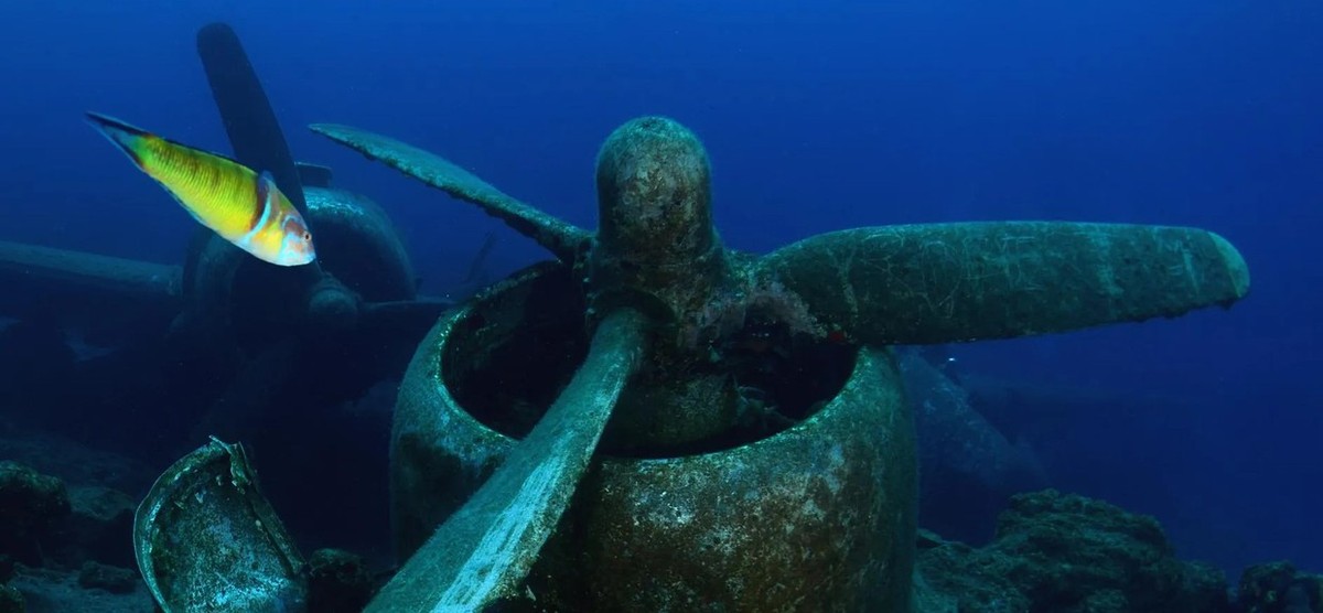 Feture image for Crossroads of the Ancient World: Exploring Greece and Türkiye - Small Ship Cruise