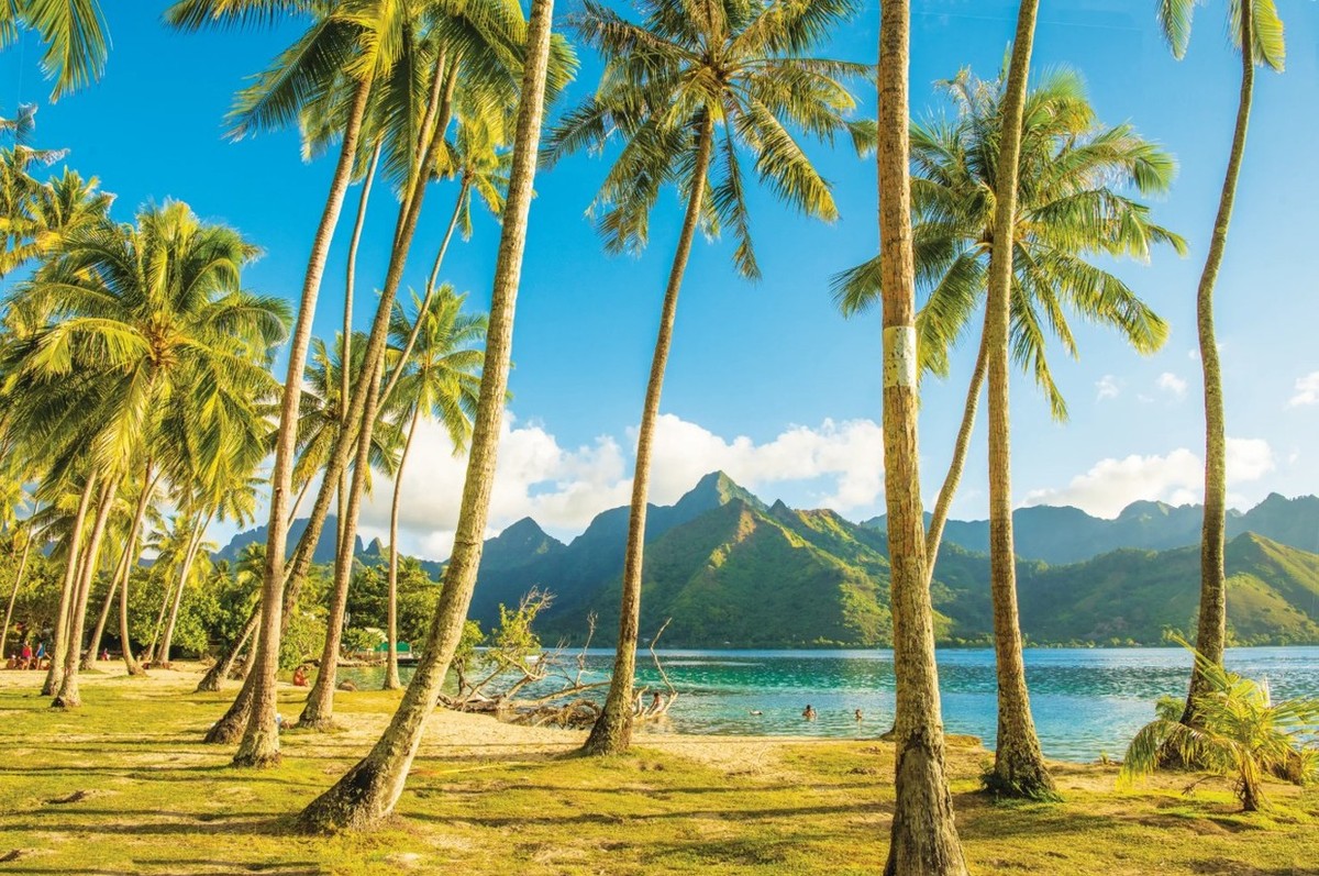Feture image for French Polynesia’s Tuamotus: Hidden Atolls and Coral Seas
