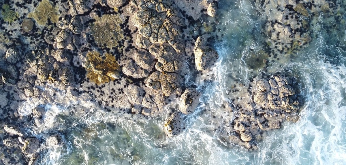 Feture image for Islands of the Indian Ocean - An Expedition from Mauritius to Zanzibar