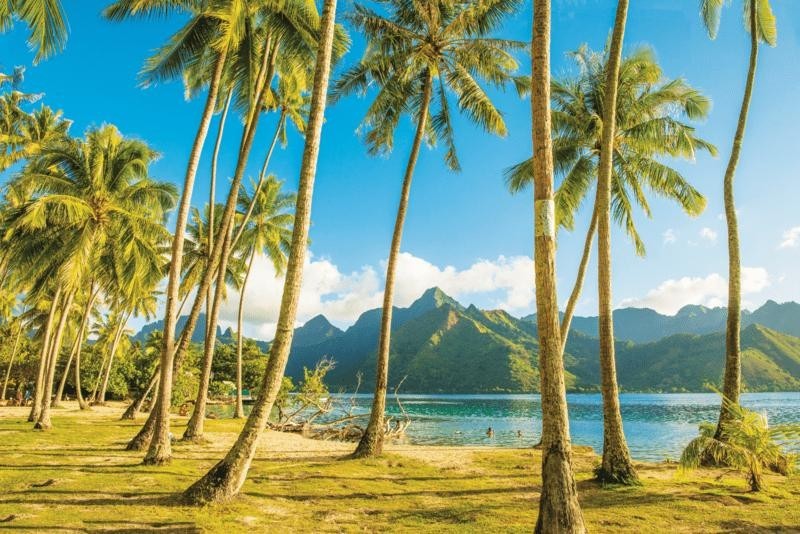 Feture image for Pearls of the Pacific: The Society and Tuamotu Islands