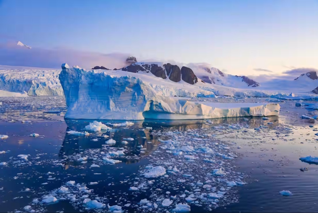 Feture image for South Georgia In Depth Expedition Micro Cruise