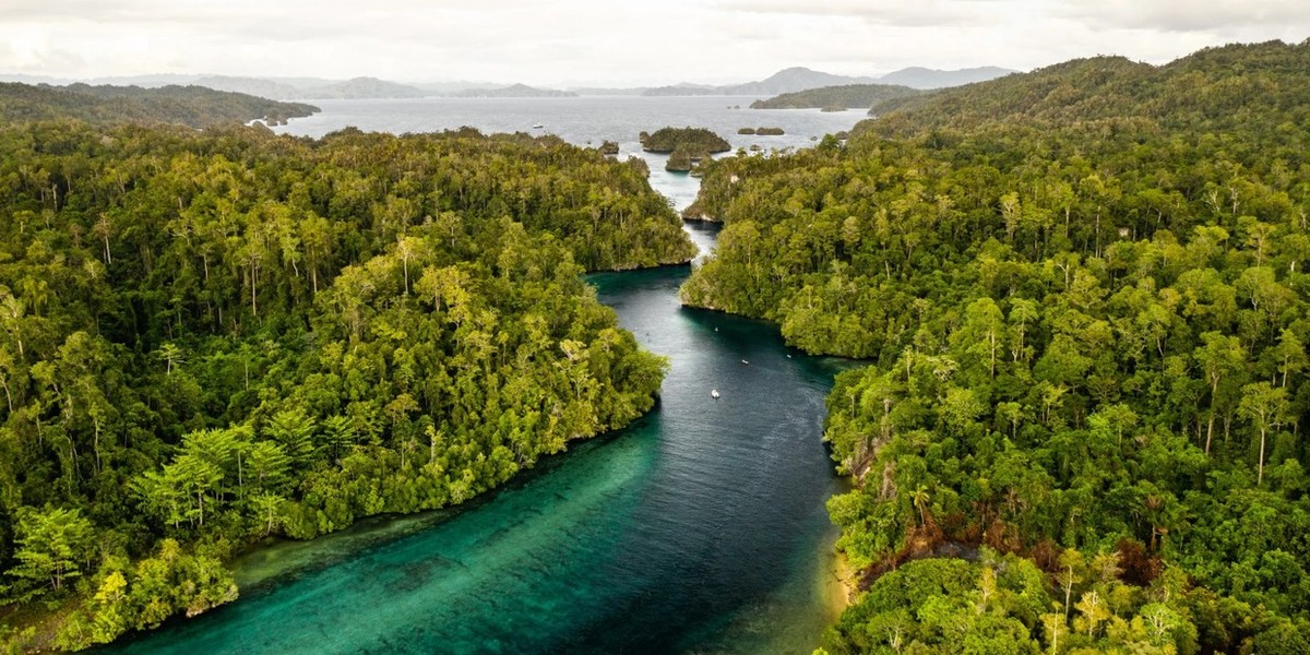 Feture image for Spice Islands & Raja Ampat 8 Day Expedition