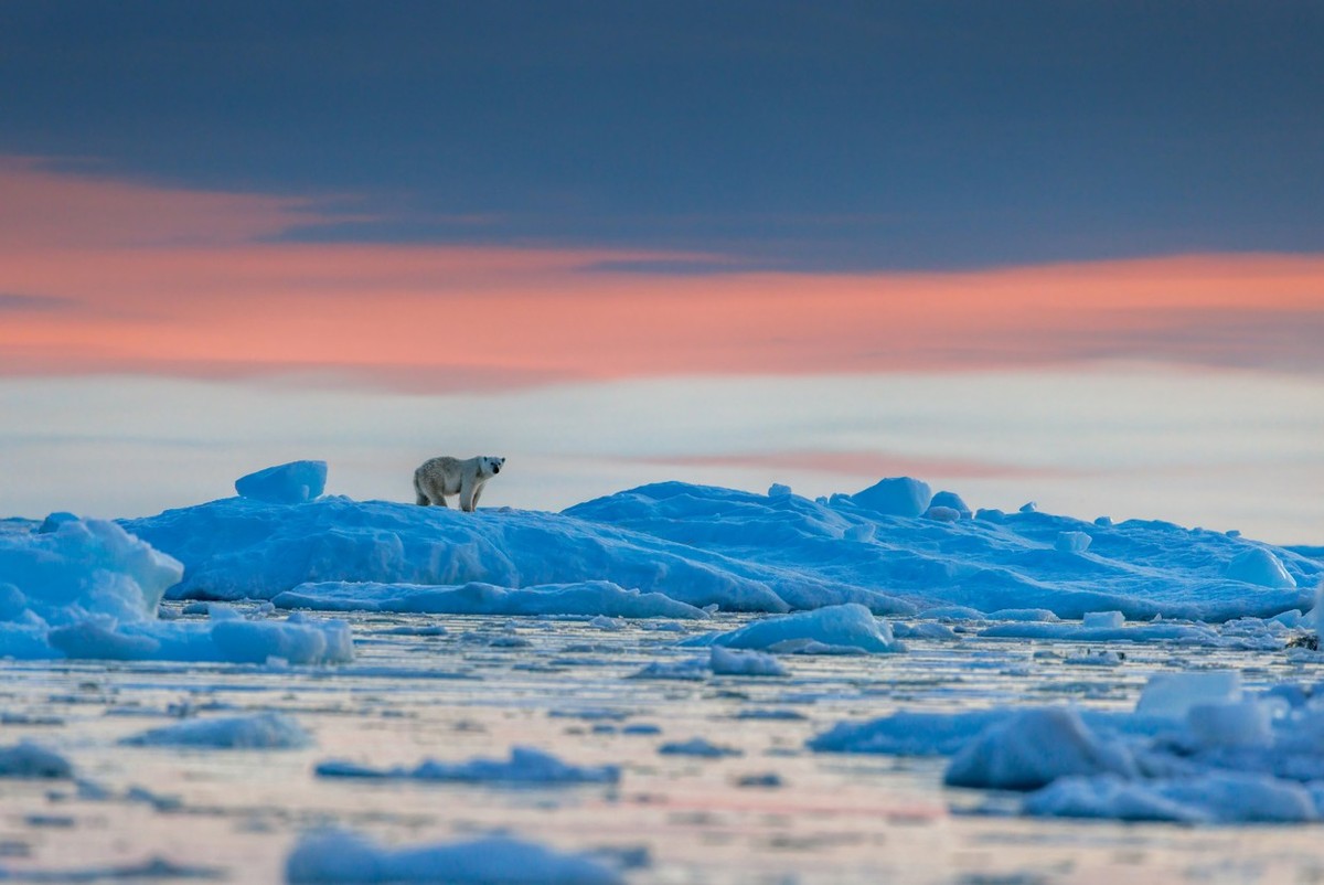 Feture image for Svalbard, Greenland & Iceland Arctic Islands: A 15-Day High Arctic Expedition Cruise Exploring Svalbard, Greenland & Iceland