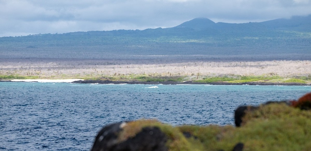 Feture image for Western Galapagos Wildlife And Volcanic Wonders - Cruise B